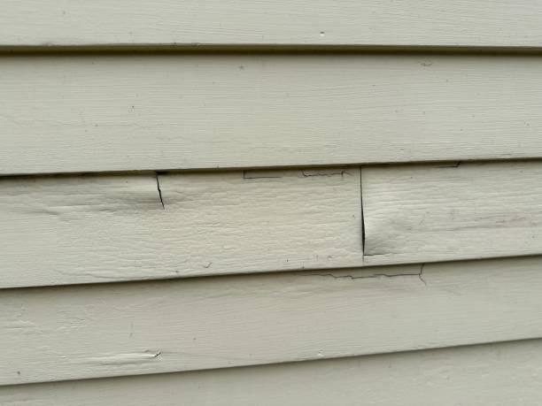 Best Stucco Siding  in USA